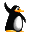 Pentacle  bnir Pingouin